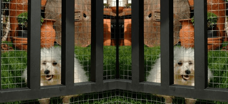 Belgo-tela-serralheiro-1