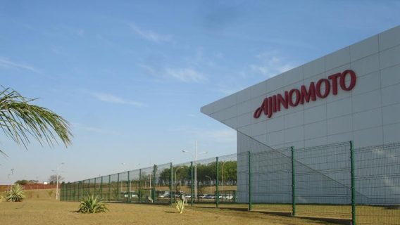 12-Ajinomoto-Valparaiso-SP